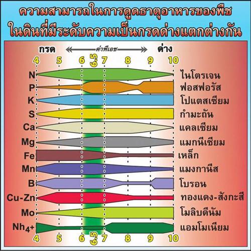 PH กับ ดิน พืช